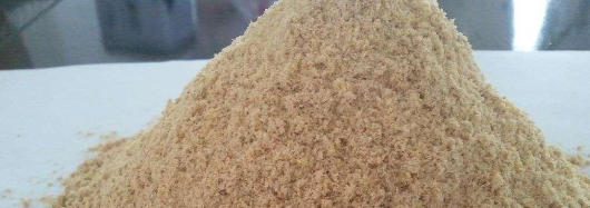 pg电子游戏试玩(中国)官方网站
