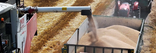 pg电子游戏试玩(中国)官方网站