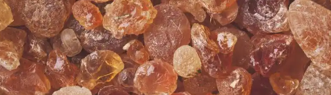 pg电子游戏试玩(中国)官方网站