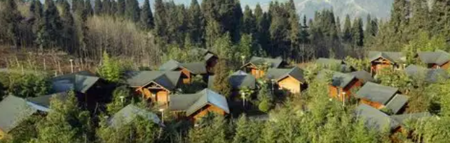 pg电子游戏试玩(中国)官方网站