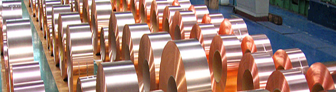 pg电子游戏试玩(中国)官方网站