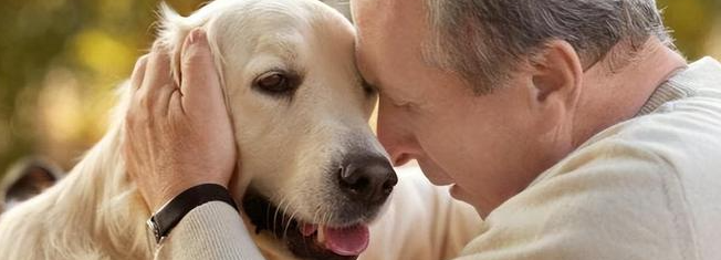 pg电子游戏试玩(中国)官方网站