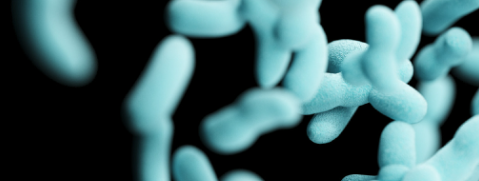 pg电子游戏试玩(中国)官方网站