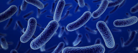 pg电子游戏试玩(中国)官方网站