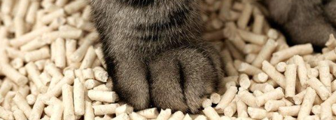 pg电子游戏试玩(中国)官方网站