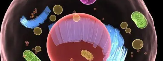 pg电子游戏试玩(中国)官方网站