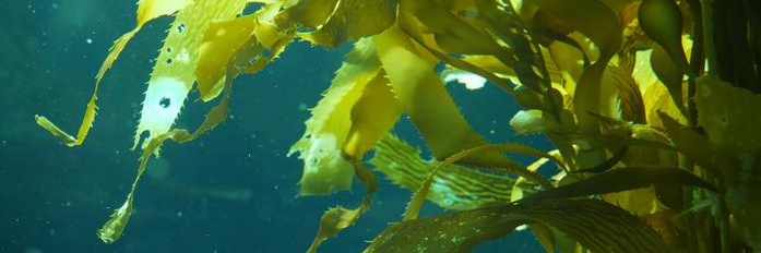 pg电子游戏试玩(中国)官方网站