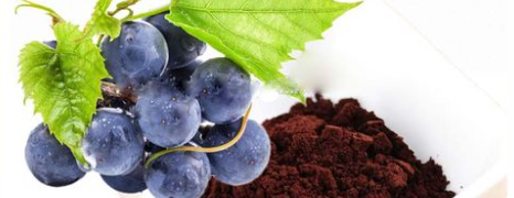 pg电子游戏试玩(中国)官方网站