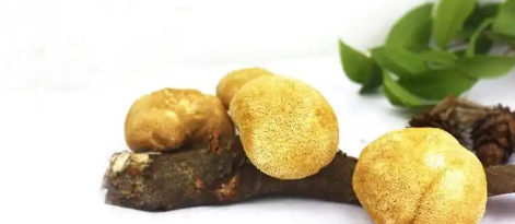 pg电子游戏试玩(中国)官方网站