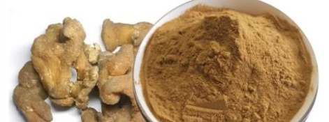 pg电子游戏试玩(中国)官方网站