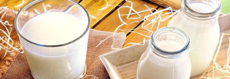 pg电子游戏试玩(中国)官方网站