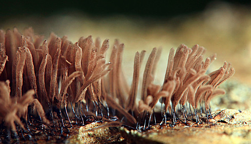 pg电子游戏试玩(中国)官方网站