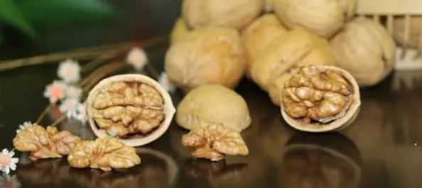 pg电子游戏试玩(中国)官方网站