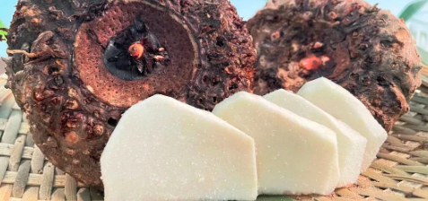 pg电子游戏试玩(中国)官方网站