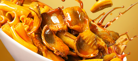 pg电子游戏试玩(中国)官方网站