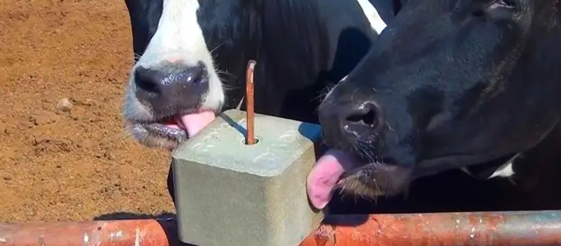 pg电子游戏试玩(中国)官方网站