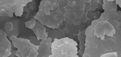 pg电子游戏试玩(中国)官方网站