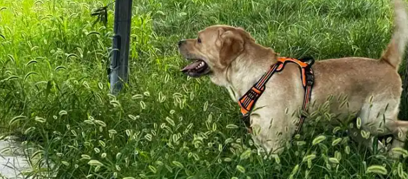 pg电子游戏试玩(中国)官方网站