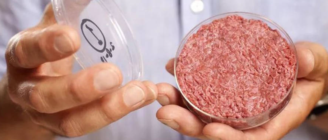 pg电子游戏试玩(中国)官方网站