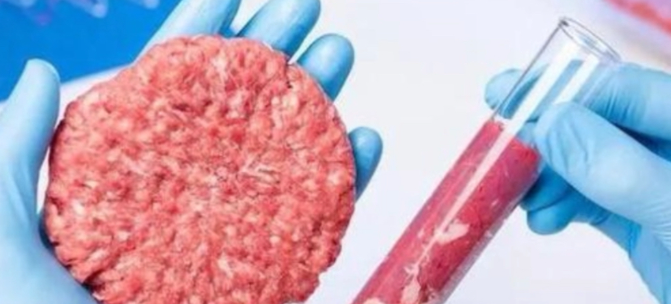 pg电子游戏试玩(中国)官方网站