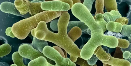 pg电子游戏试玩(中国)官方网站