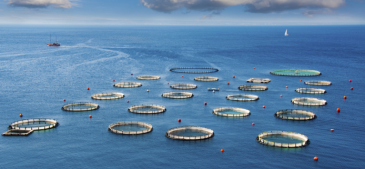 pg电子游戏试玩(中国)官方网站