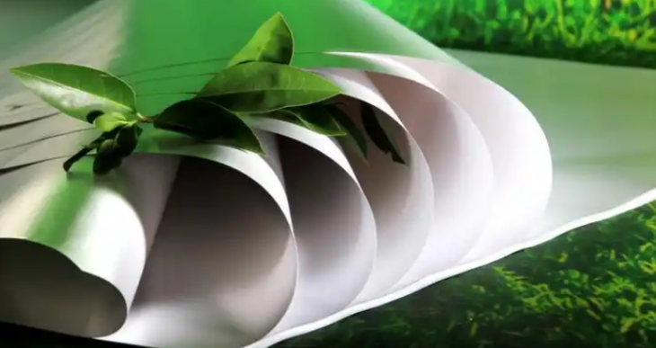 pg电子游戏试玩(中国)官方网站