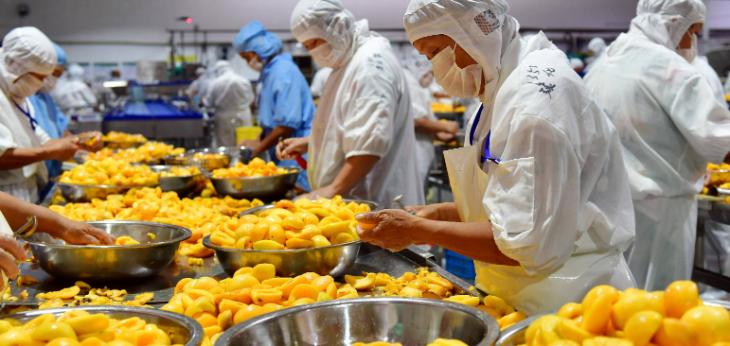 pg电子游戏试玩(中国)官方网站