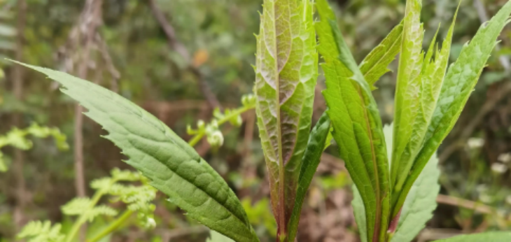 pg电子游戏试玩(中国)官方网站