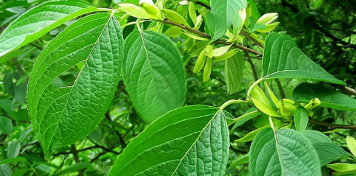 pg电子游戏试玩(中国)官方网站