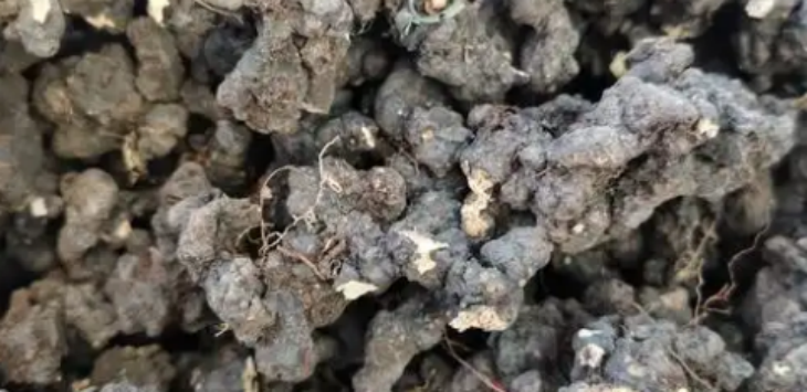 pg电子游戏试玩(中国)官方网站