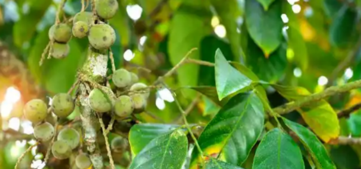 pg电子游戏试玩(中国)官方网站