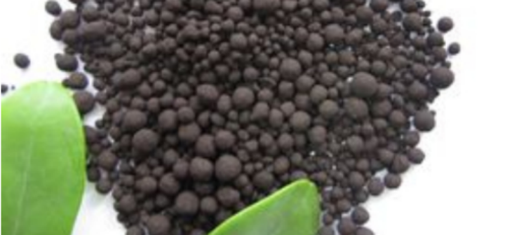 pg电子游戏试玩(中国)官方网站