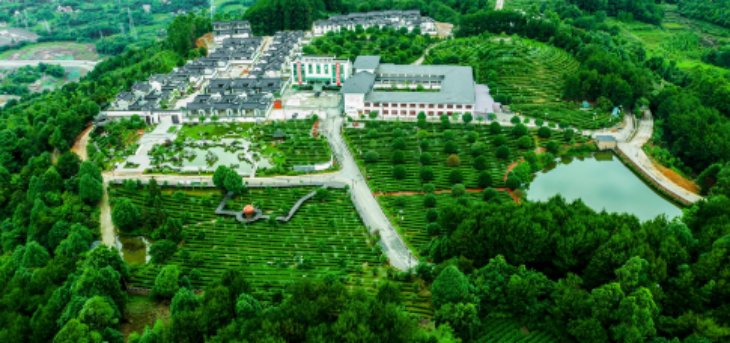 pg电子游戏试玩(中国)官方网站