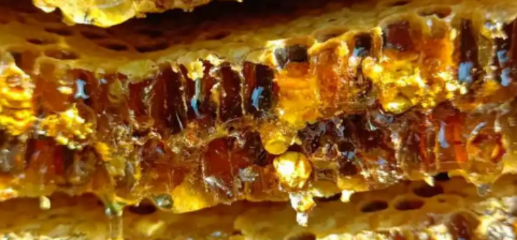 pg电子游戏试玩(中国)官方网站