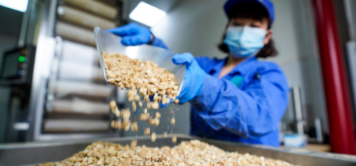 pg电子游戏试玩(中国)官方网站