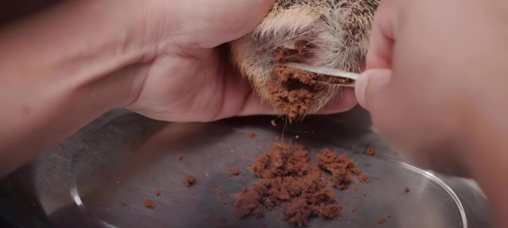 pg电子游戏试玩(中国)官方网站