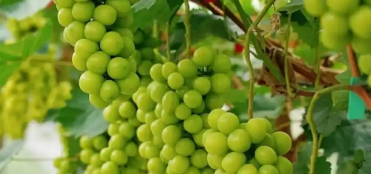 pg电子游戏试玩(中国)官方网站