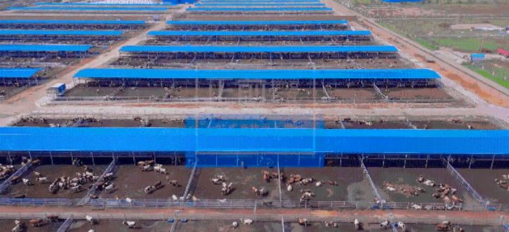 pg电子游戏试玩(中国)官方网站