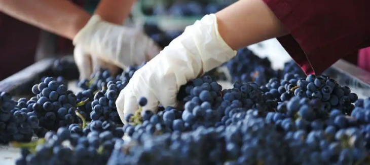 pg电子游戏试玩(中国)官方网站