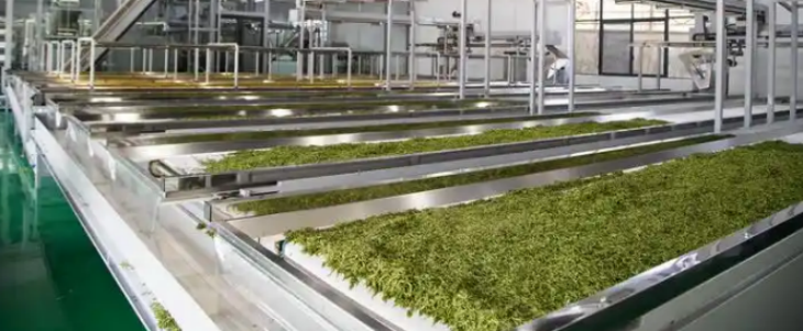 pg电子游戏试玩(中国)官方网站