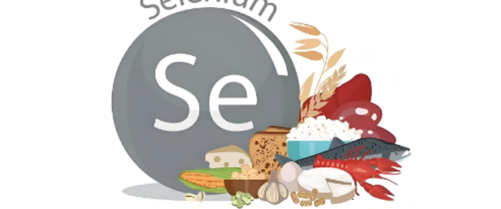 pg电子游戏试玩(中国)官方网站