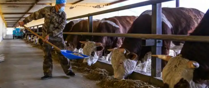 pg电子游戏试玩(中国)官方网站