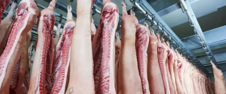 pg电子游戏试玩(中国)官方网站