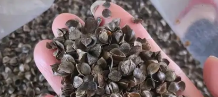 pg电子游戏试玩(中国)官方网站