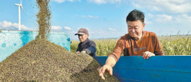 pg电子游戏试玩(中国)官方网站