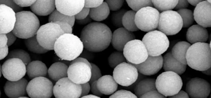 pg电子游戏试玩(中国)官方网站