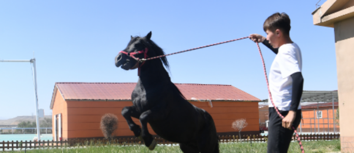 pg电子游戏试玩(中国)官方网站