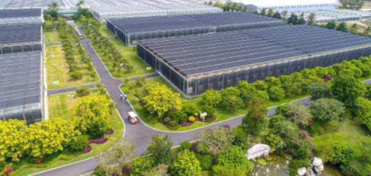 pg电子游戏试玩(中国)官方网站