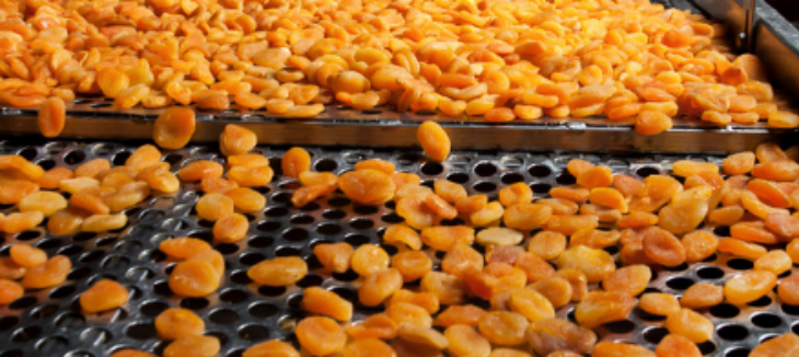 pg电子游戏试玩(中国)官方网站